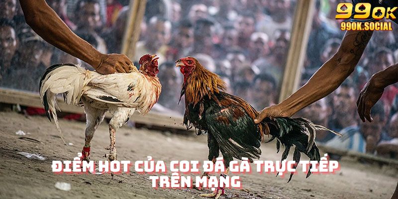 Điểm hot của coi đá gà trên mạng